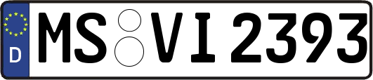 MS-VI2393
