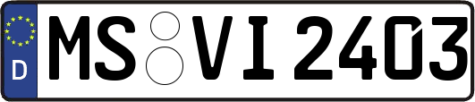 MS-VI2403