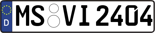 MS-VI2404