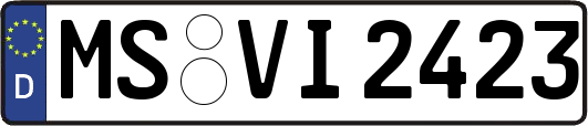 MS-VI2423