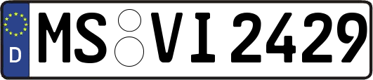 MS-VI2429