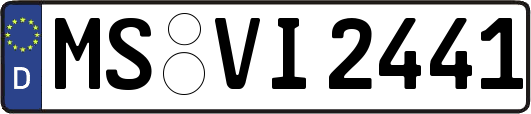 MS-VI2441
