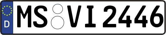 MS-VI2446