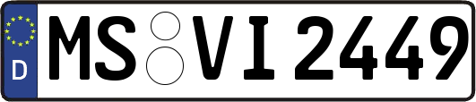 MS-VI2449