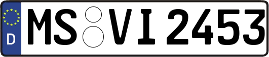 MS-VI2453