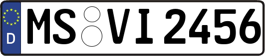 MS-VI2456