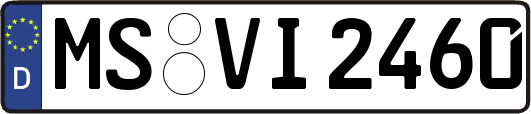 MS-VI2460