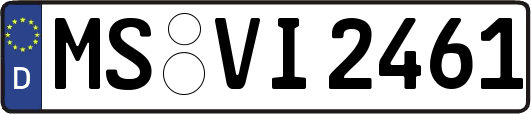 MS-VI2461