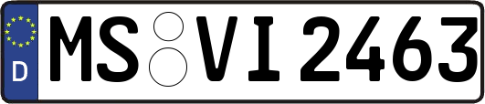MS-VI2463