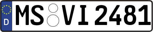 MS-VI2481
