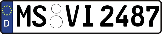 MS-VI2487