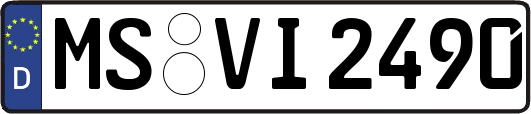 MS-VI2490