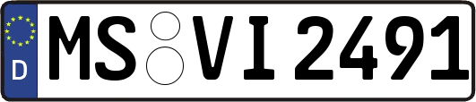 MS-VI2491
