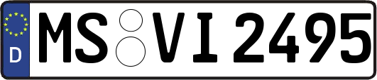 MS-VI2495