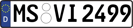 MS-VI2499