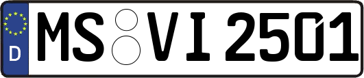 MS-VI2501