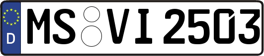MS-VI2503