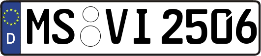 MS-VI2506