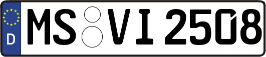 MS-VI2508