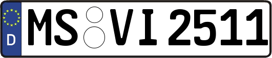MS-VI2511