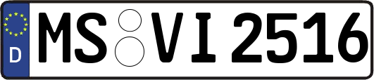 MS-VI2516