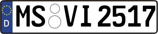 MS-VI2517