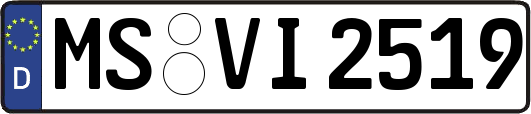 MS-VI2519