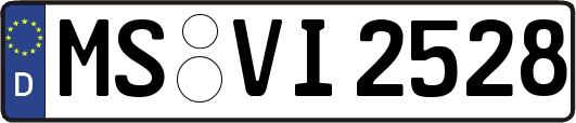 MS-VI2528