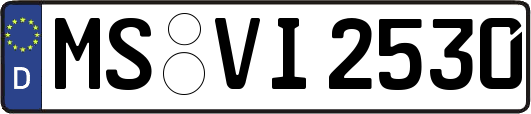 MS-VI2530