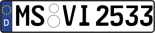 MS-VI2533
