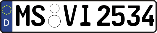 MS-VI2534