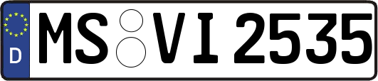 MS-VI2535