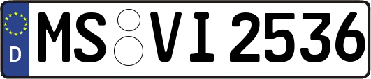 MS-VI2536