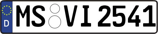 MS-VI2541