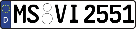 MS-VI2551