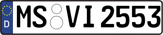 MS-VI2553