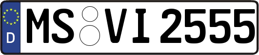 MS-VI2555