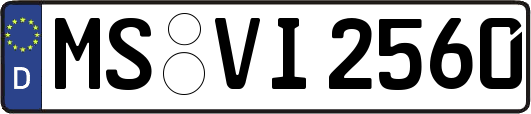 MS-VI2560