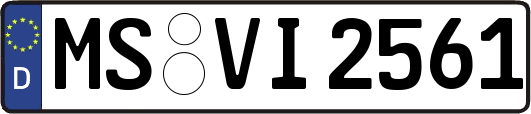 MS-VI2561