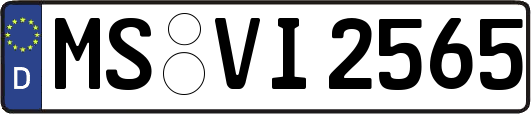 MS-VI2565