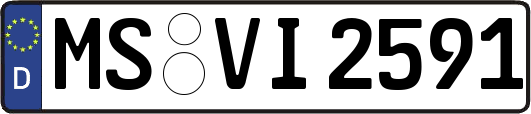 MS-VI2591