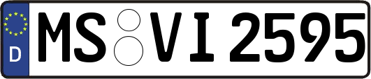 MS-VI2595
