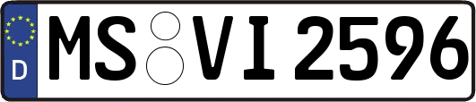 MS-VI2596