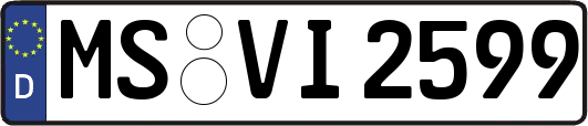 MS-VI2599