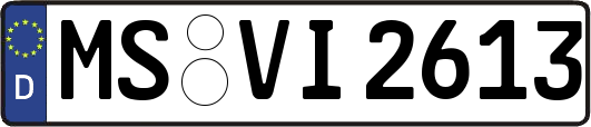 MS-VI2613