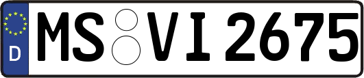 MS-VI2675
