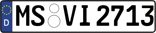 MS-VI2713