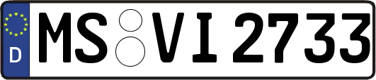 MS-VI2733