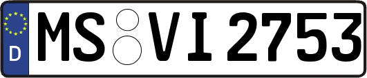 MS-VI2753