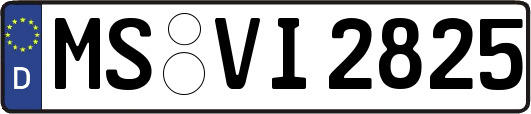 MS-VI2825